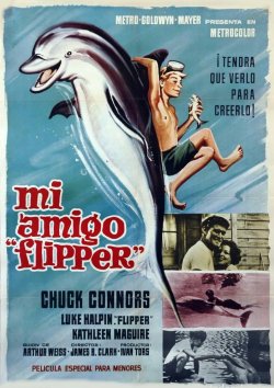 MI AMIGO FLIPPER