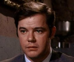 Ha muerto... WARREN BERLINGER