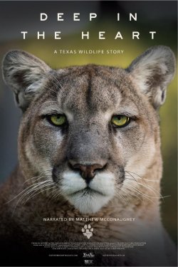 DEEP IN THE HEART: A TEXAS WILDLIFE STORY