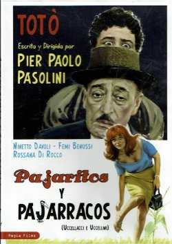 PAJARITOS Y PAJARRACOS