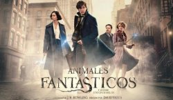 La saga de... ANIMALES FANTÁSTICOS
