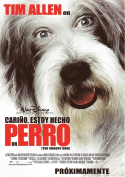 CARIÑO ESTOY HECHO UN PERRO CARIÑO ESTOY HECHO UN PERRO