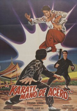 KÁRATE MANO DE ACERO