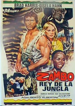 ZAMBO REY DE LA JUNGLA ZAMBO REY DE LA JUNGLA
