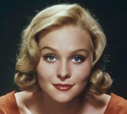 Ha muerto... DIANE McBAIN