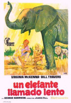 UN ELEFANTE LLAMADO LENTO