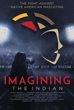 IMAGINING THE INDIAN