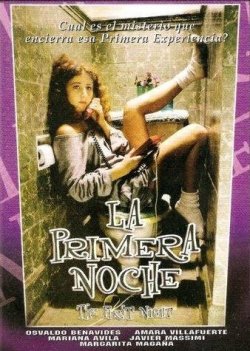 LA PRIMERA NOCHE