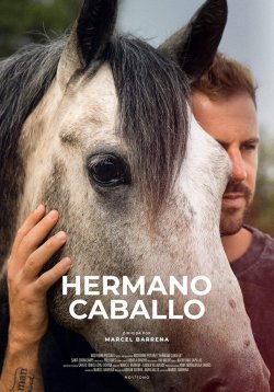 HERMANO CABALLO