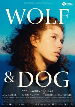 LOBO Y PERRO