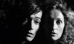 RETROSPECTIVA AL GRUPO ZANZIBAR EN DOCUMENTA MADRID