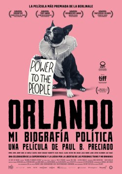 ORLANDO MI BIOGRAFIA POLITICA