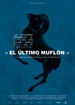 EL ULTIMO MUFLON