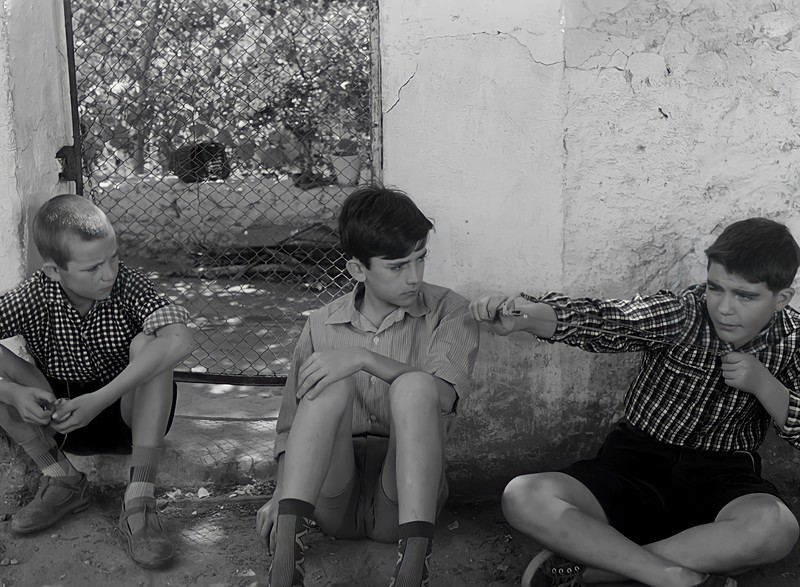 EL CAMINO DE ANA MARISCAL LLEGA A FLIXOLÉ