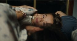 20.000 ESPECIES DE ABEJAS TENDRÁ SU PUESTA DE LARGO EN BERLÍN