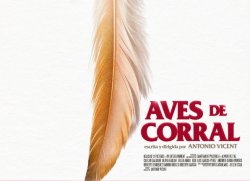ARRANCA EL RODAJE DE AVES DE CORRAL