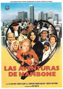 LAS AVENTURAS DE HAMBONE