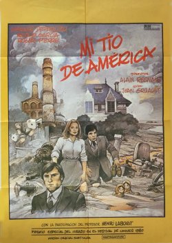 MI TIO DE AMERICA