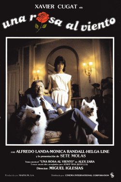 UNA ROSA AL VIENTO