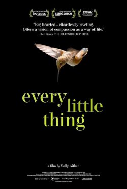 EVERY LITTLE THING