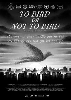 TO BIRD OR NOT TO BIRD
