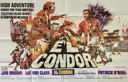 Curiosidades de... EL CONDOR