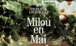 Curiosidades de... MILOU EN MAYO