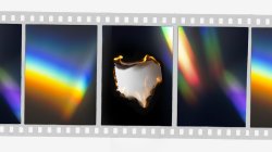 REGRESA LA MUESTRA FIRE