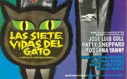 Curiosidades de... LAS SIETE VIDAS DEL GATO