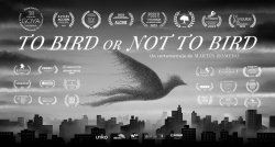 TO BIRD OR NOT TO BIRD NUESTRA ERA A TRAVES DE LOS PAJAROS