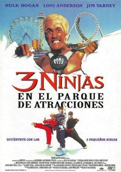 3 NINJAS EN EL PARQUE DE ATRACCIONES