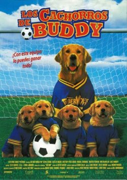LOS CACHORROS DE BUDDY