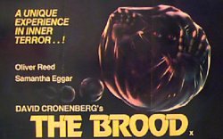 Curiosidades de... CROMOSOMA 3