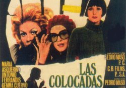 Curiosidades de... LAS COLOCADAS