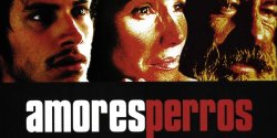Curiosidades de... AMORES PERROS