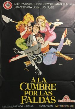 A LA CUMBRE POR LAS FALDAS