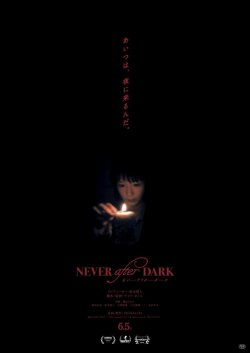 NEVER AFTER DARK