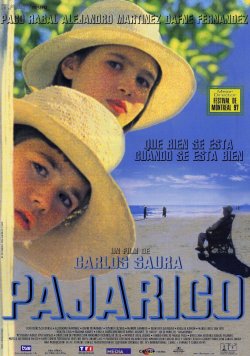 PAJARICO
