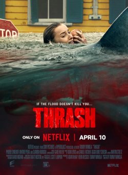 TRASH EMBESTIDA