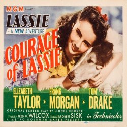 EL CORAJE DE LASSIE