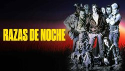 Curiosidades de... RAZAS DE NOCHE