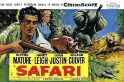 Curiosidades de... SAFARI