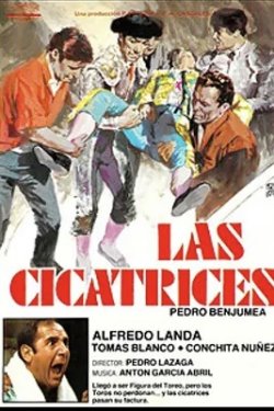 LAS CICATRICES