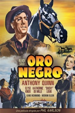 ORO NEGRO ORO NEGRO