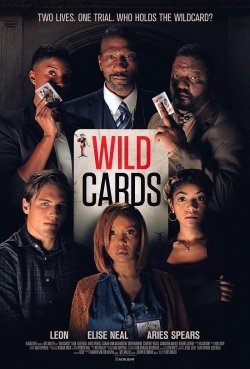 WILDCARDS