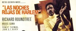Curiosidades de... LAS NOCHES ROJAS DE HARLEM