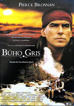 BUHO GRIS