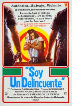 SOY UN DELINCUENTE