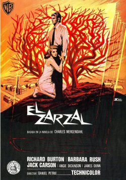 EL ZARZAL