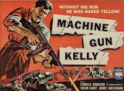 Curiosidades de... LA LEY DE LAS ARMAS